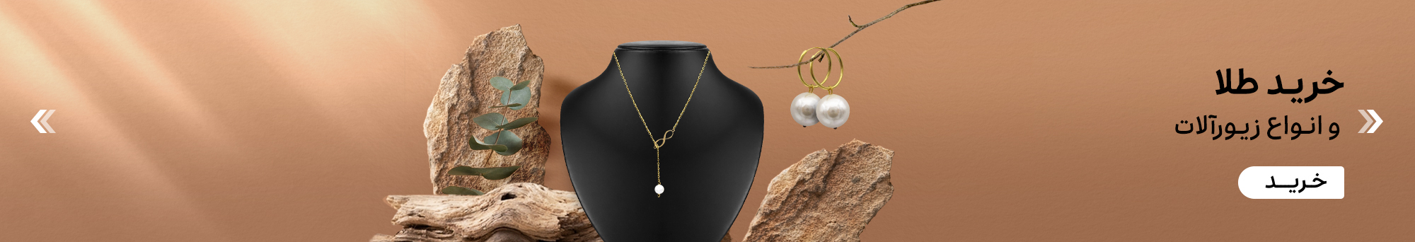 9d3060ed-39e4-4009-9a20-0e7c45ccc280